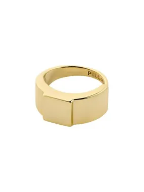 Pilgrim Friends Ring